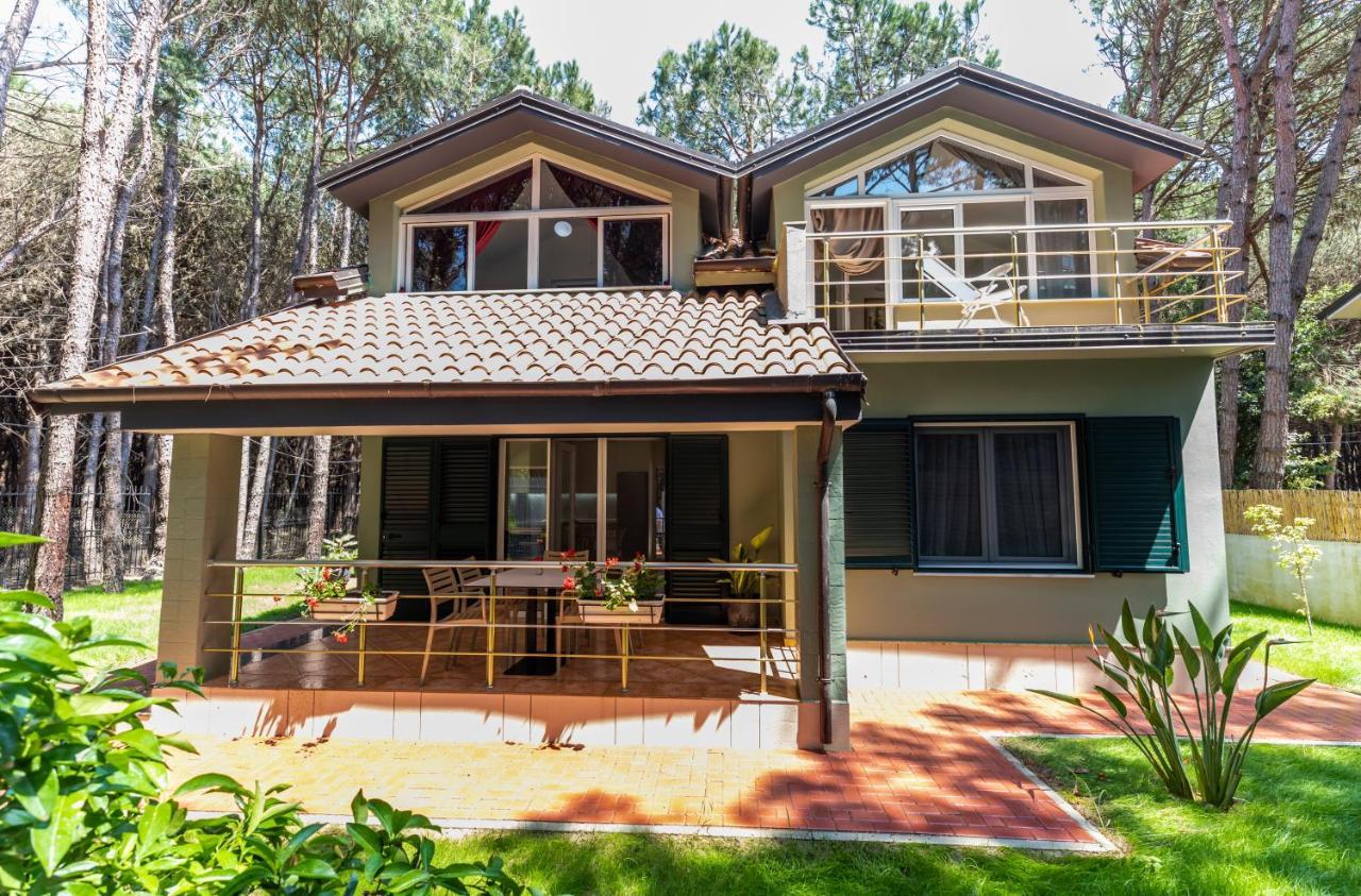 Villa Forest - Middle Of Forest & Near The *