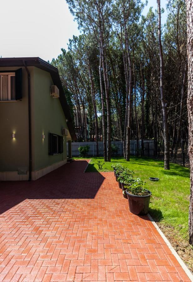 Forest - Middle Of Forest & Near The Villa Golem (Tirana)