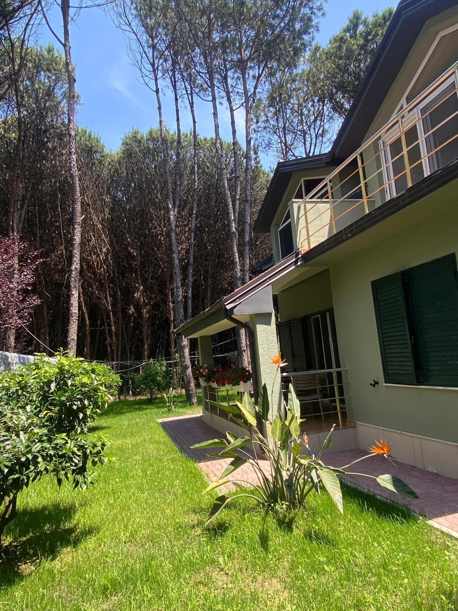 Villa Forest - Middle Of Forest & Near The Golem (Tirana)