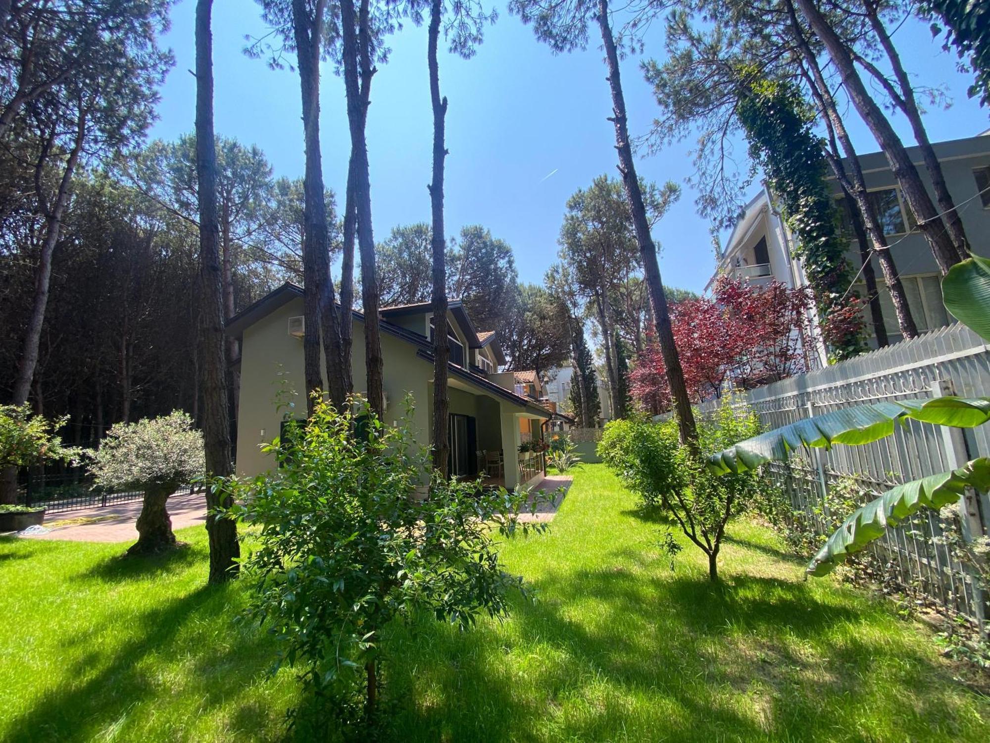 Forest - Middle Of Forest & Near The Villa *