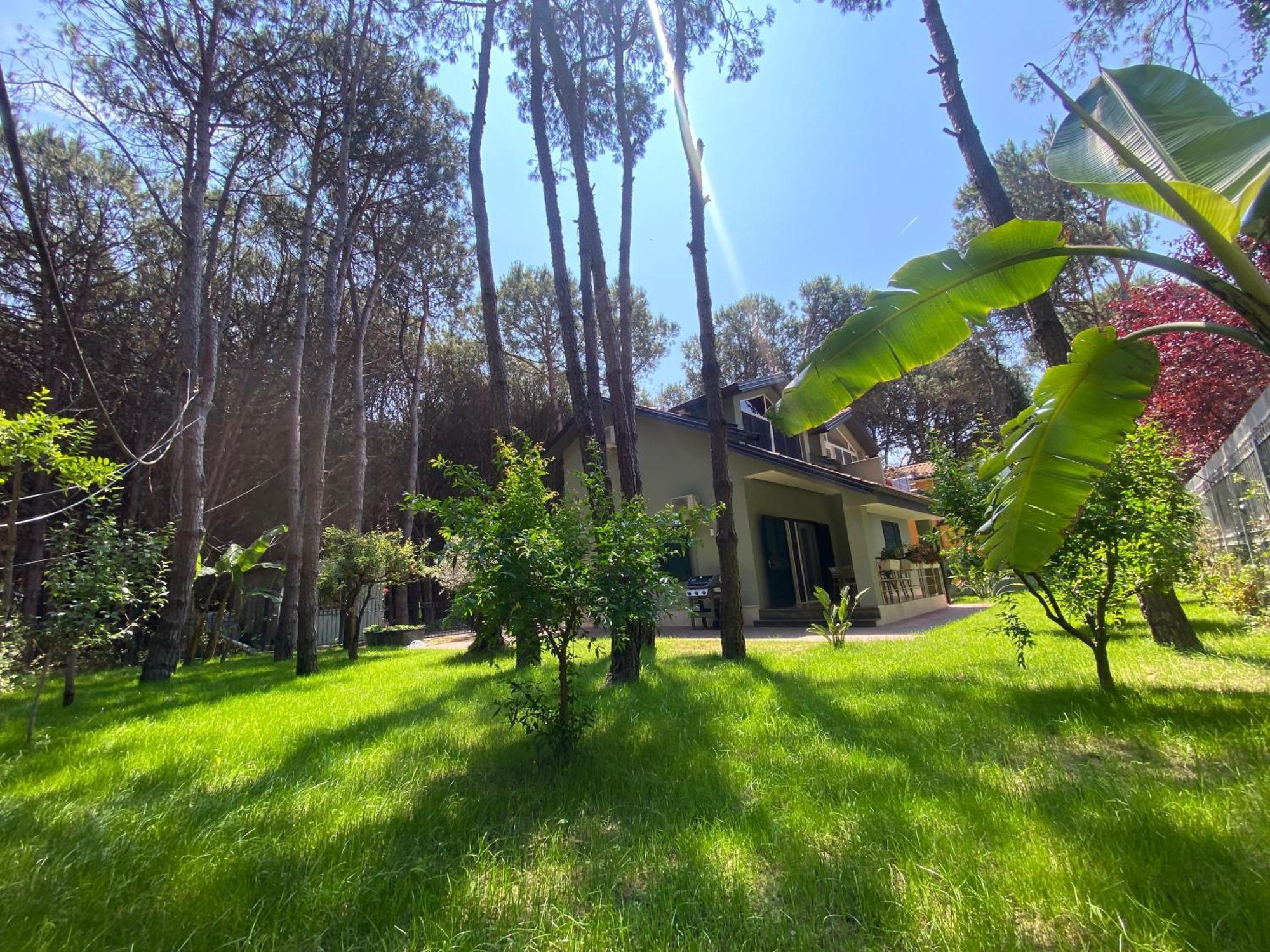Villa Forest - Middle Of Forest & Near The *
